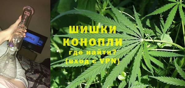 прущие крисы Абаза