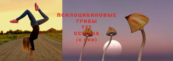 синтетический гашиш Абдулино