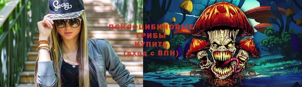прущие крисы Абаза